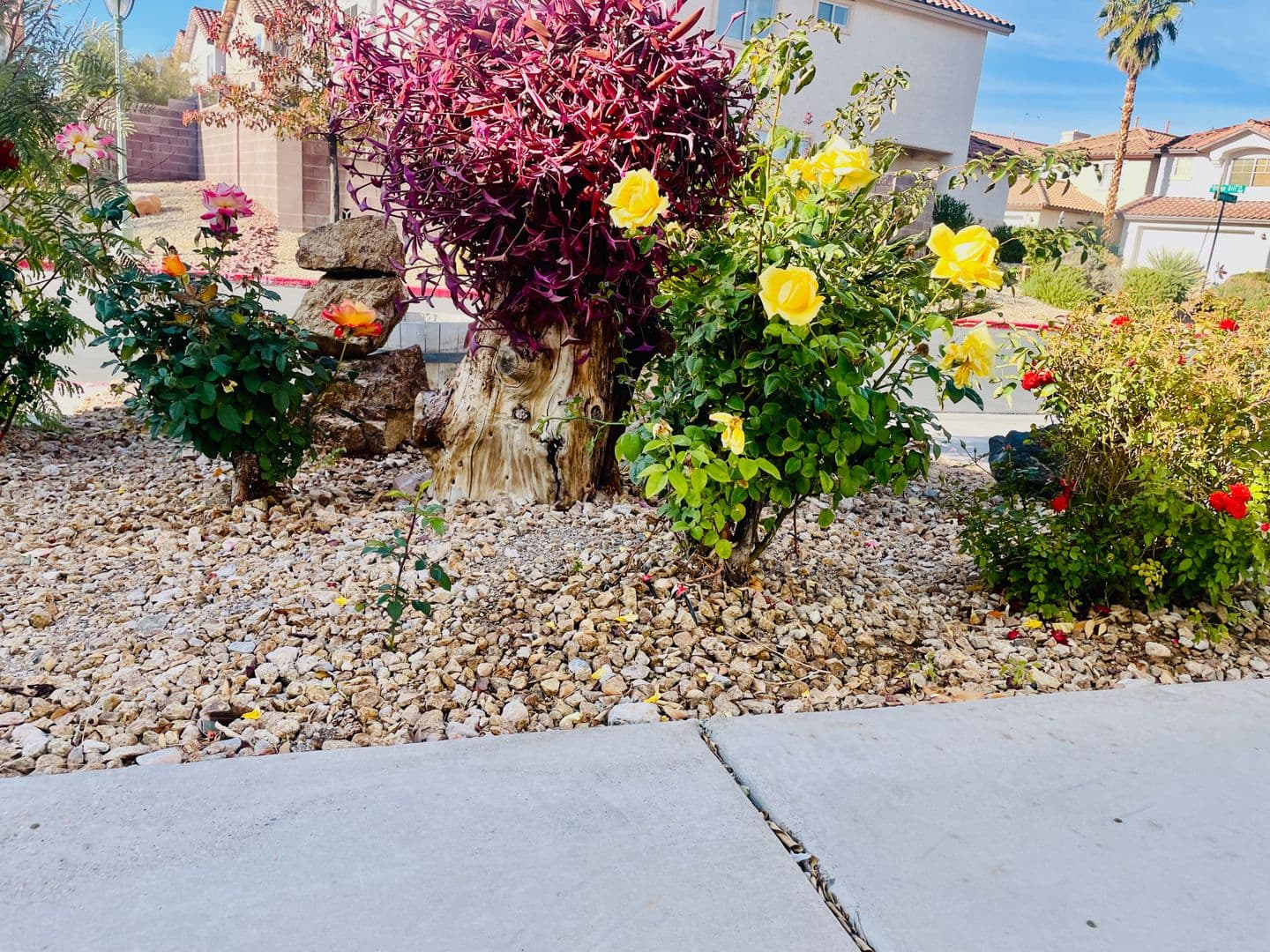 Las Vegas House: 9224 Canalino Drive