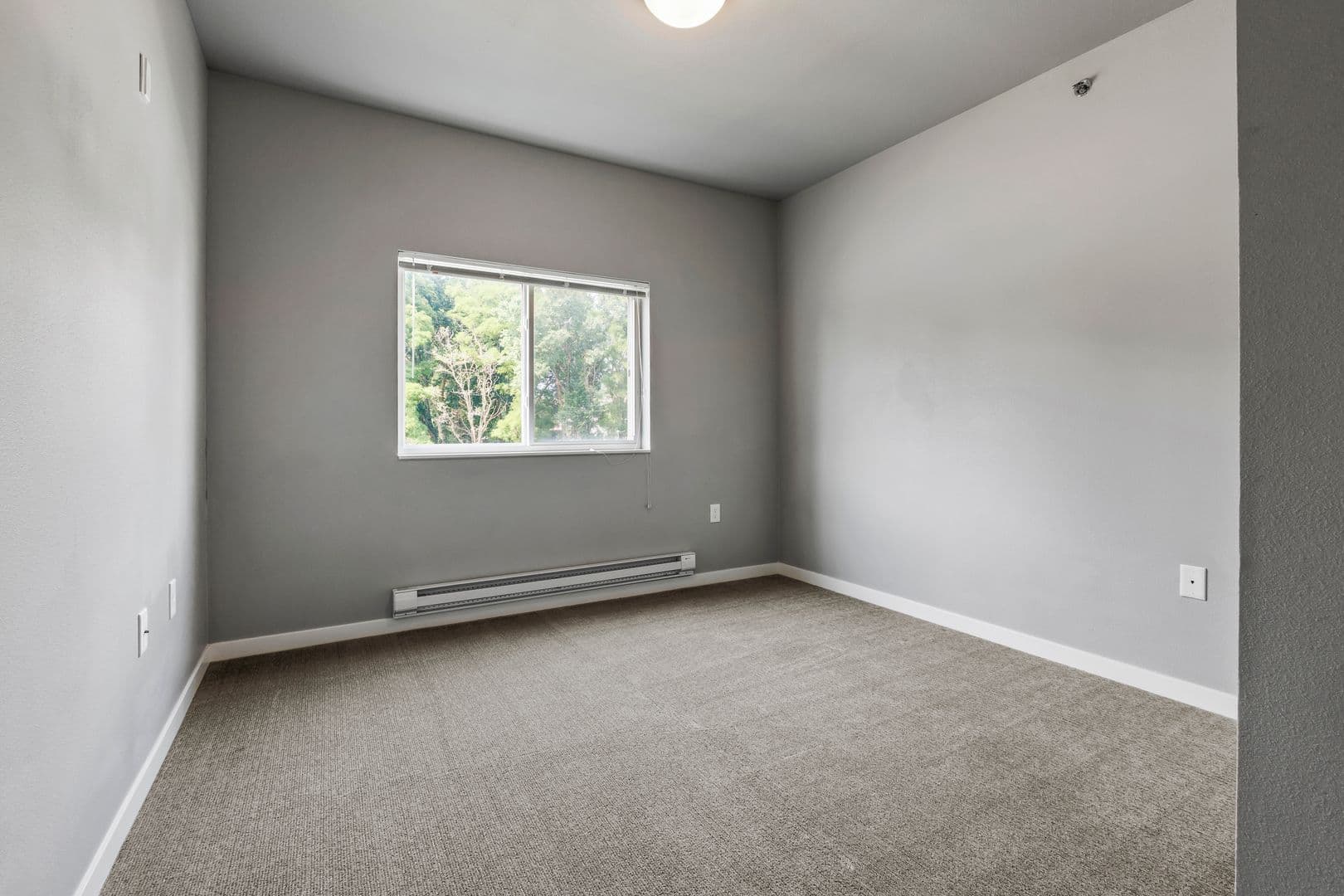 Brookings Apartment: 300 20th St S