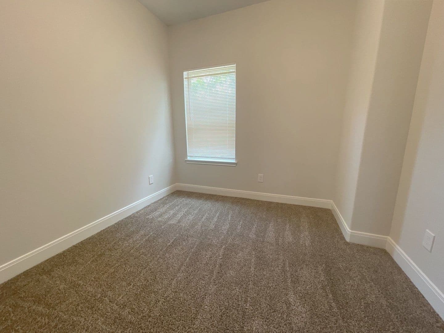 Houston Apartment: 1029 Calvin Ave