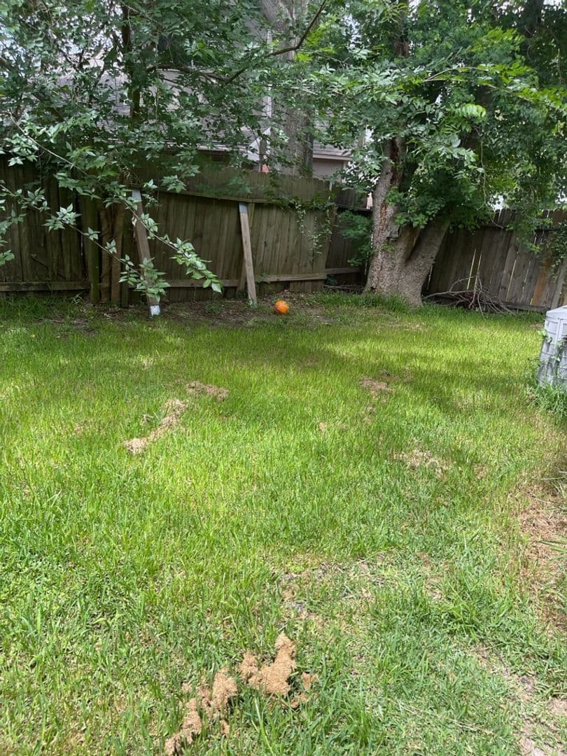Houston House: 3902 Bennington Street