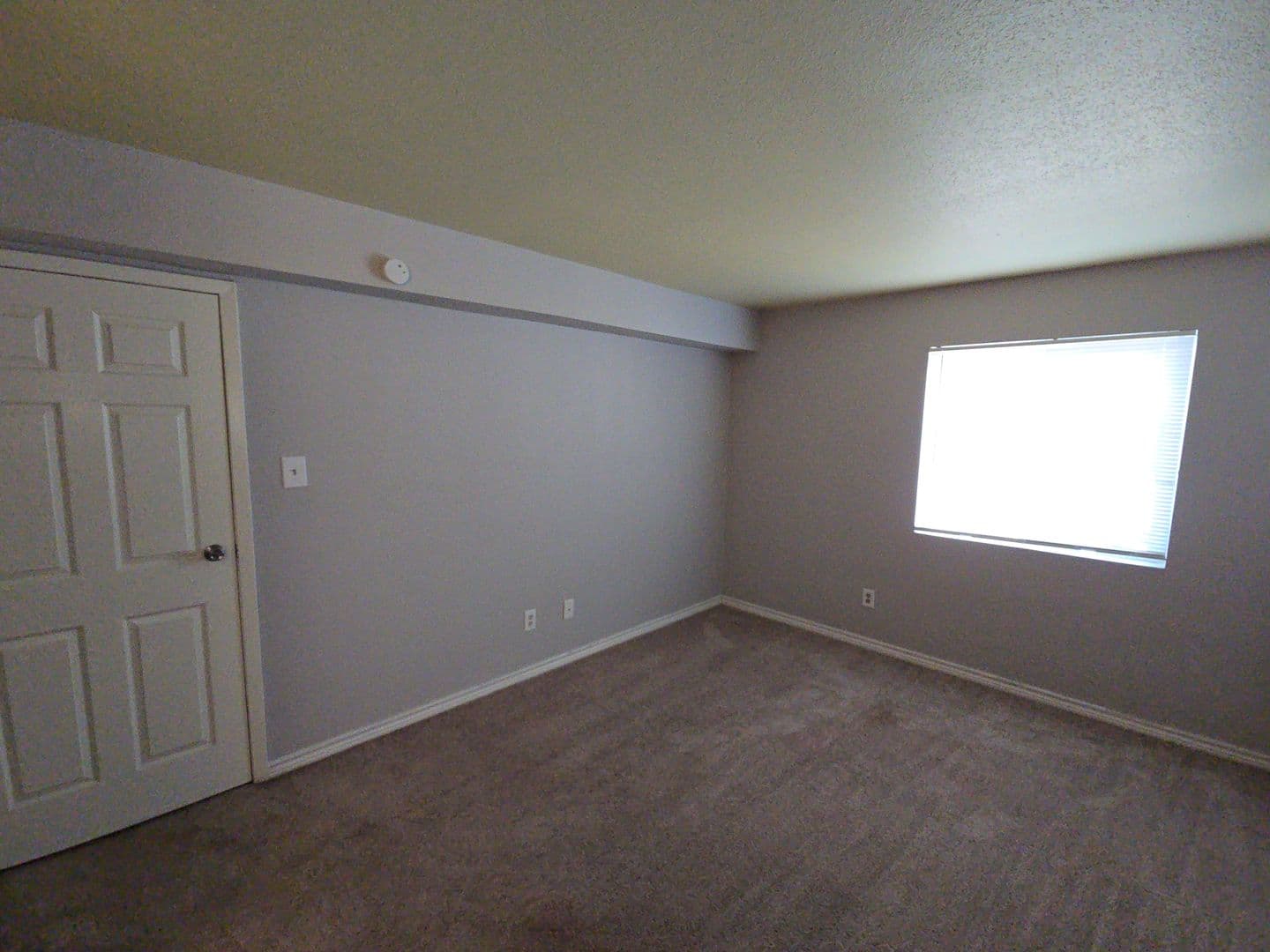 Houston Apartment: 12634 Ashford Meadow Dr #1
