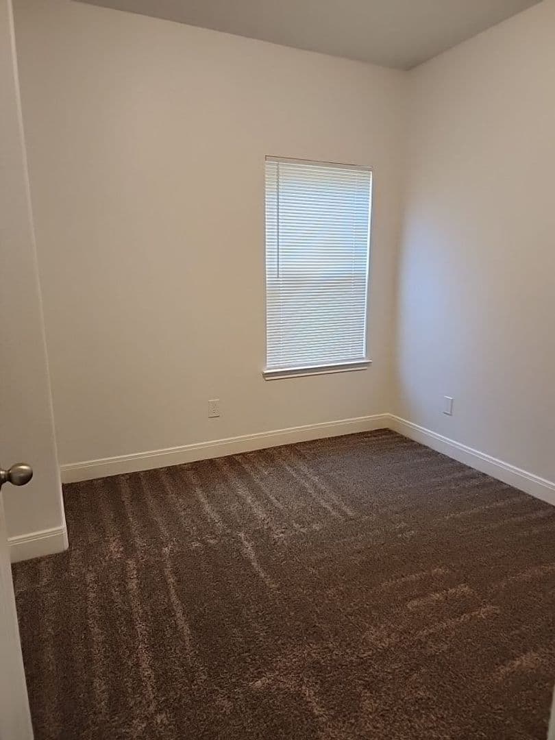 Houston Apartment: 1029 Calvin Ave