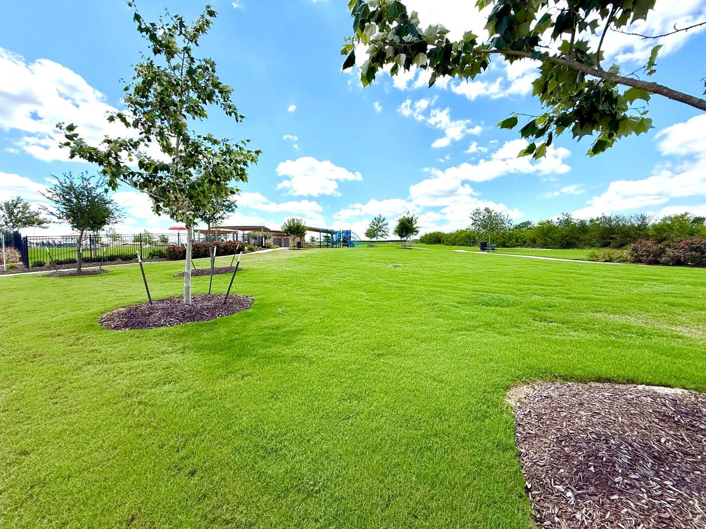 Cibolo House: 320 Goodfella Ave