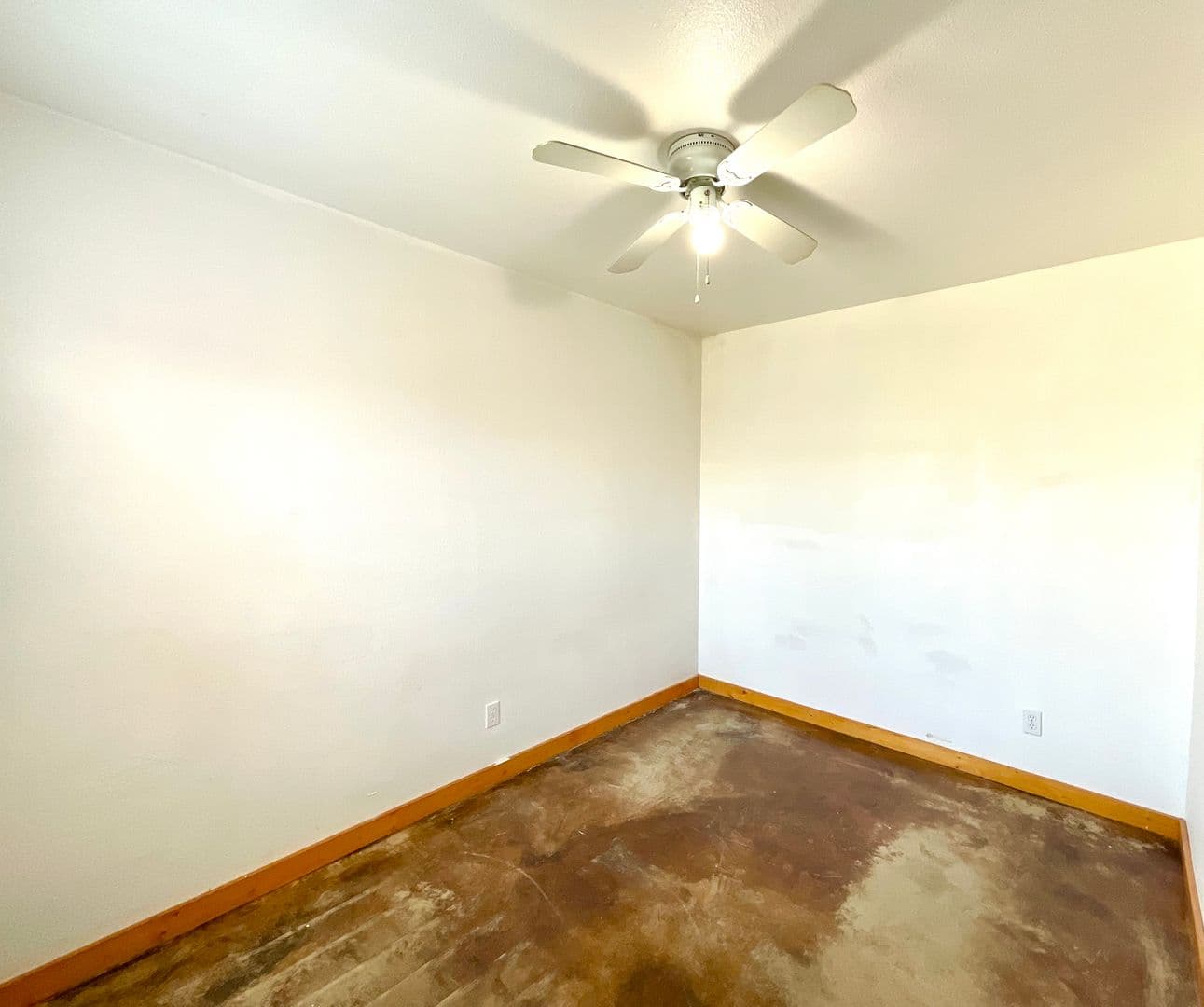 Floresville Apartment: 573 Texas 97