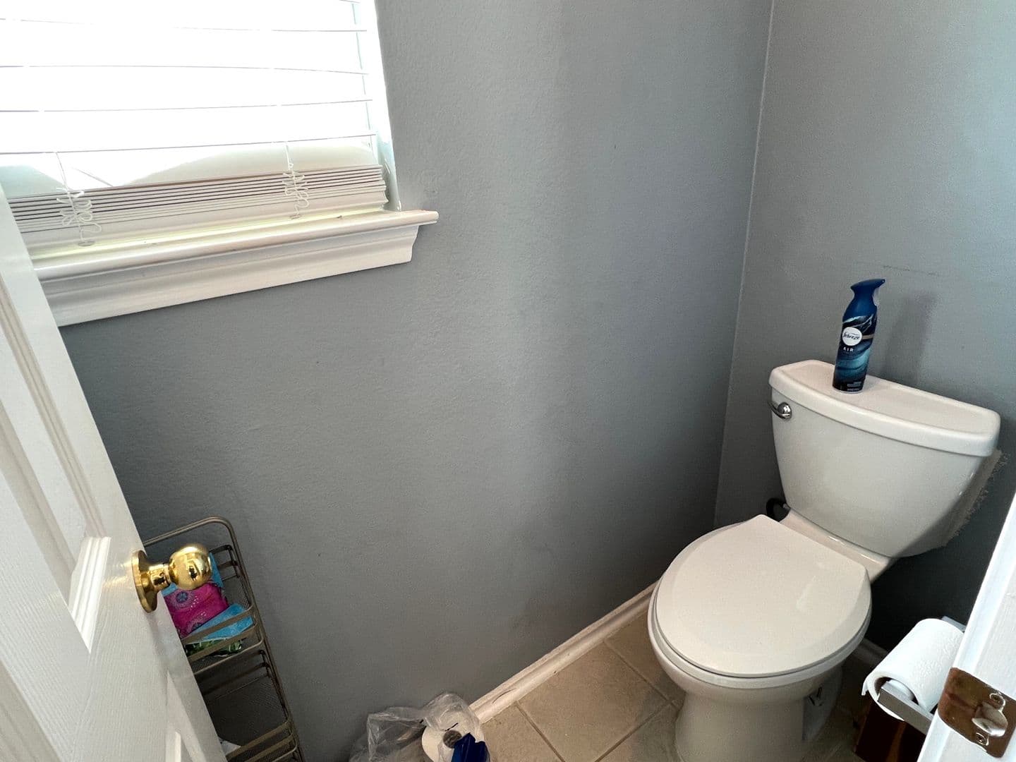 Pflugerville House: 802 Stevenage Dr