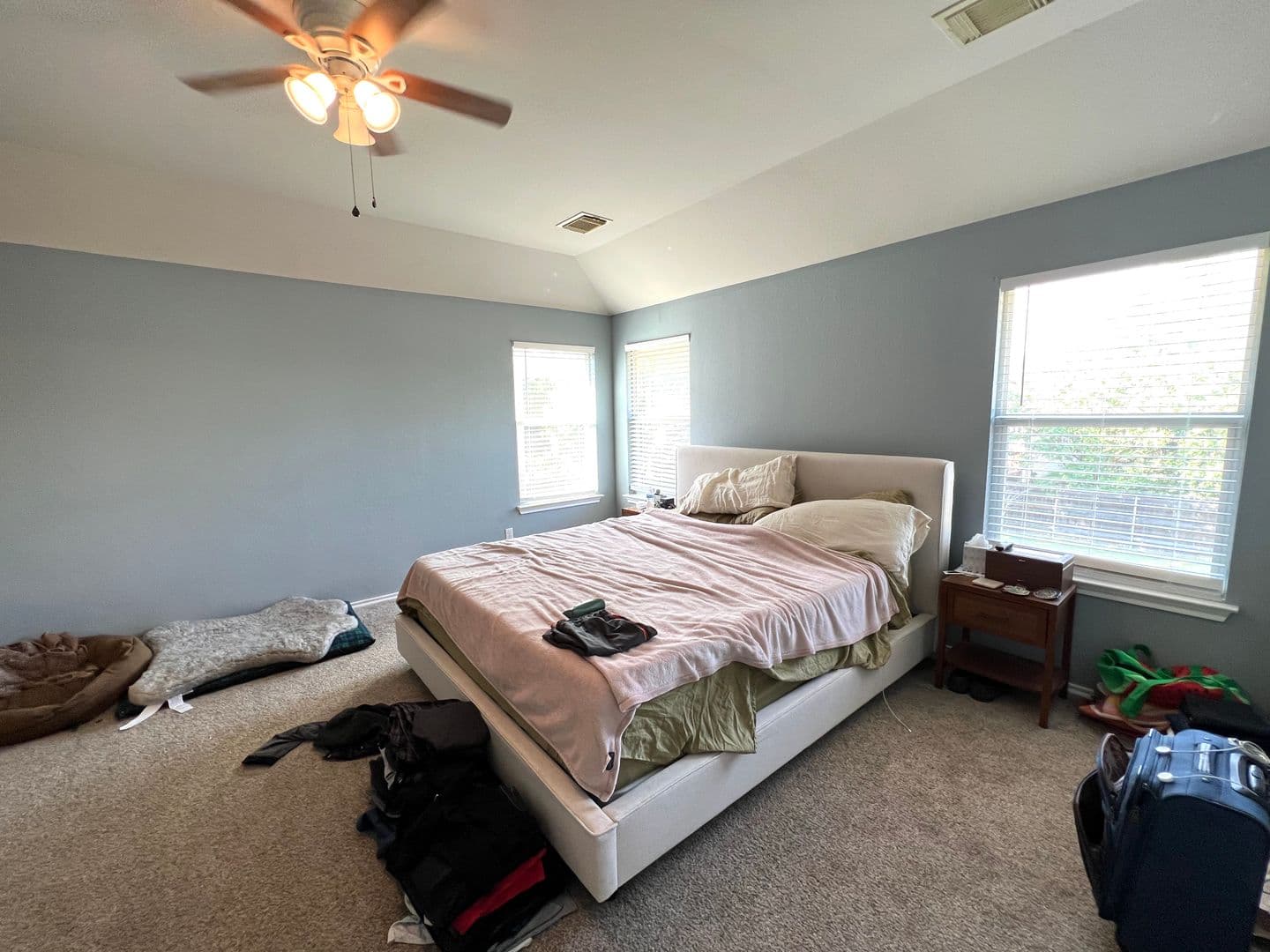 Pflugerville House: 802 Stevenage Dr