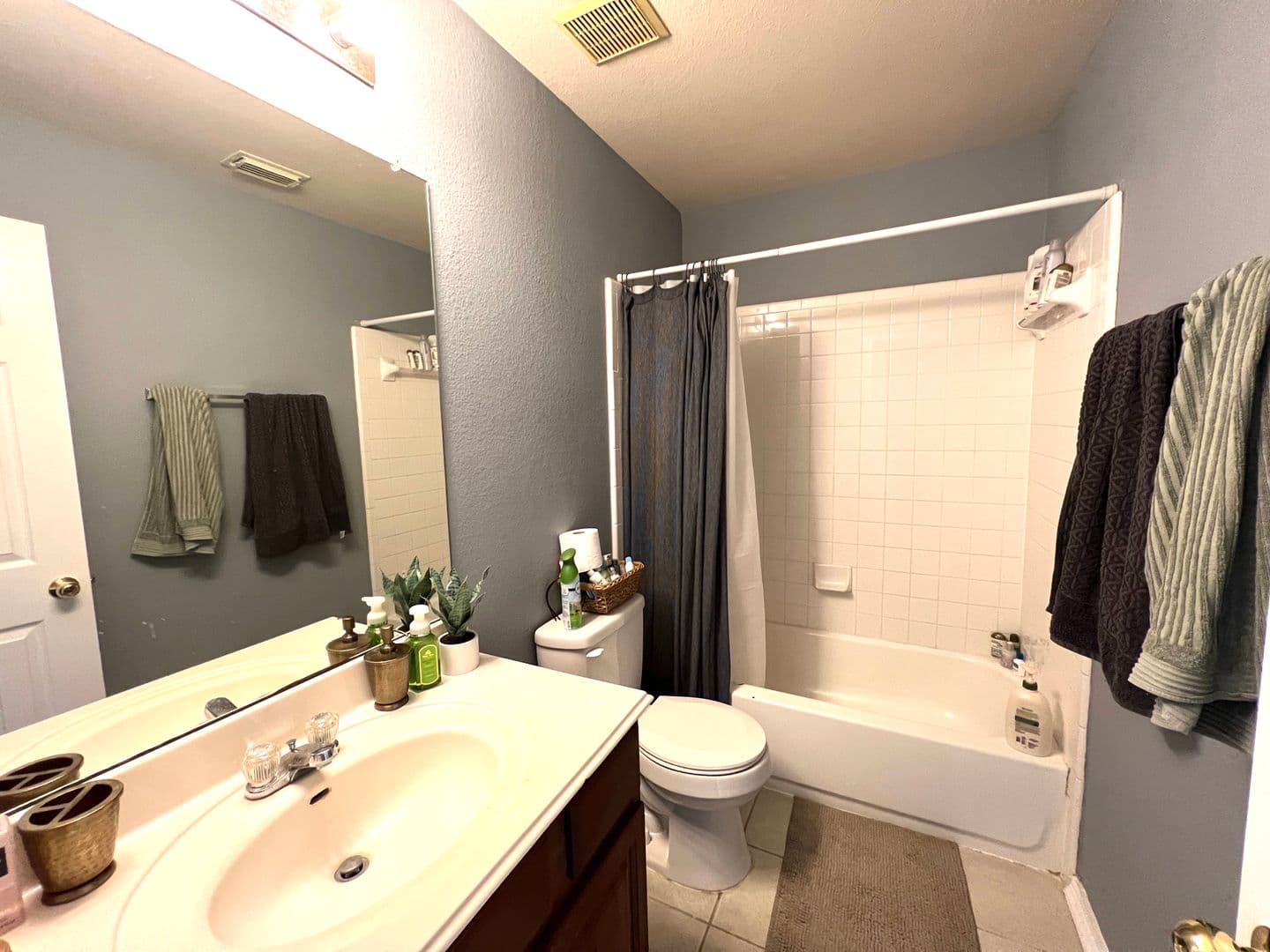 Pflugerville House: 802 Stevenage Dr