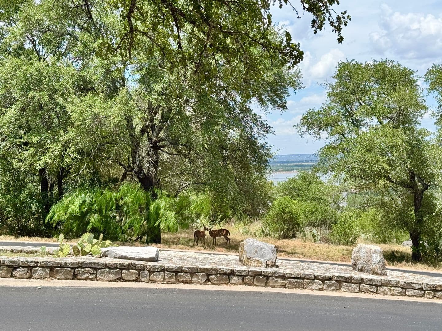 Horseshoe Bay House: 800-D Grassy Knoll