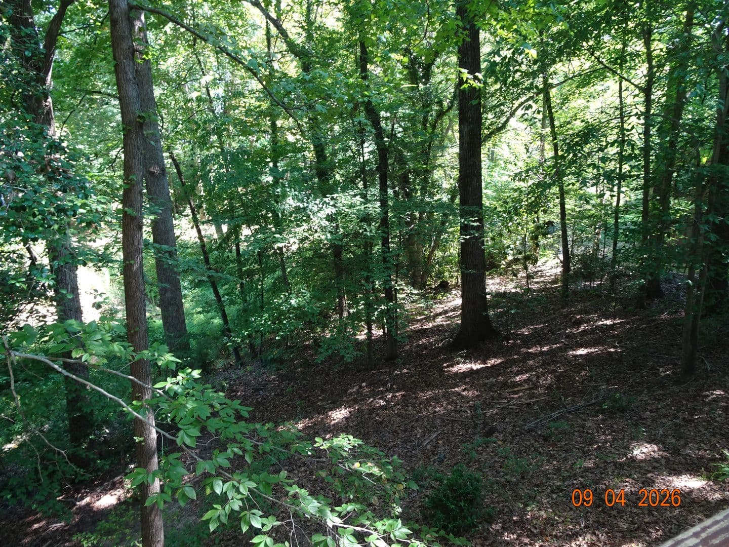 Williamsburg House: 1350 Jamestown Road