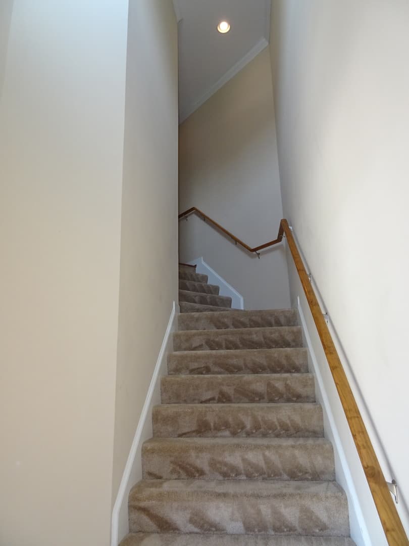Williamsburg House: 802 Braemar Creek