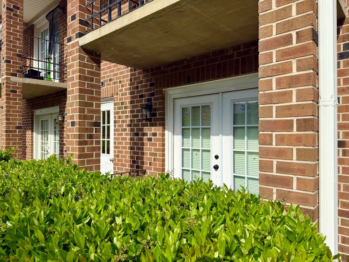 Norfolk Apartment: 5861 Poplar Hall Drive