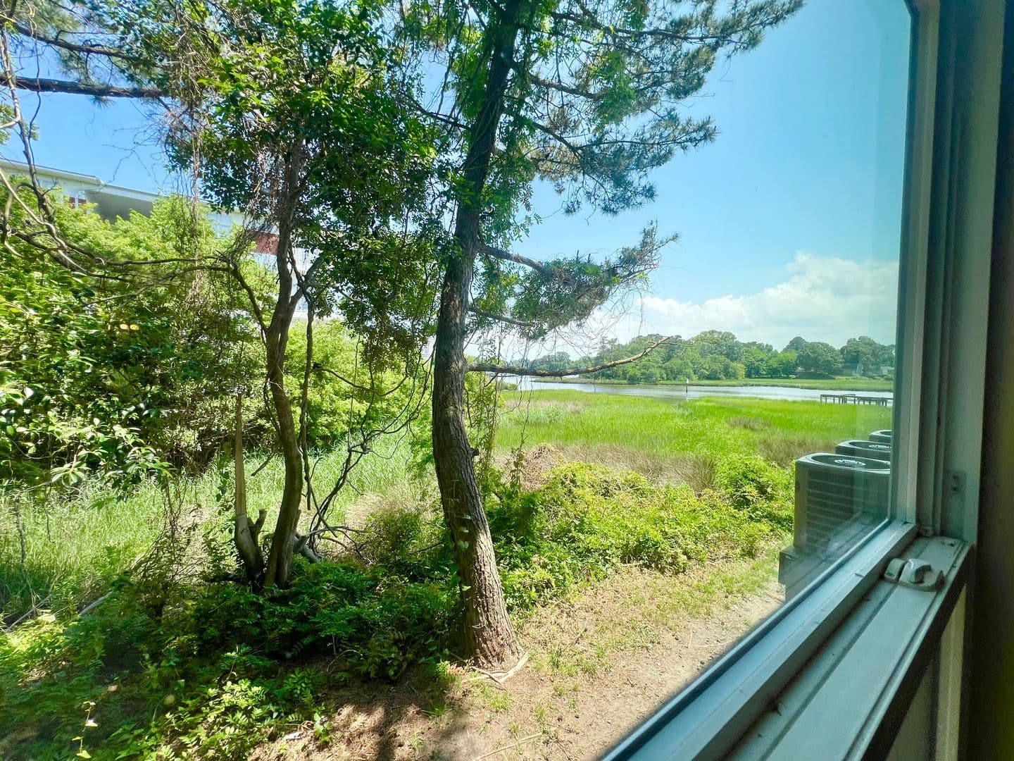 Norfolk Apartment: 2107-2111 Pretty Lake Ave