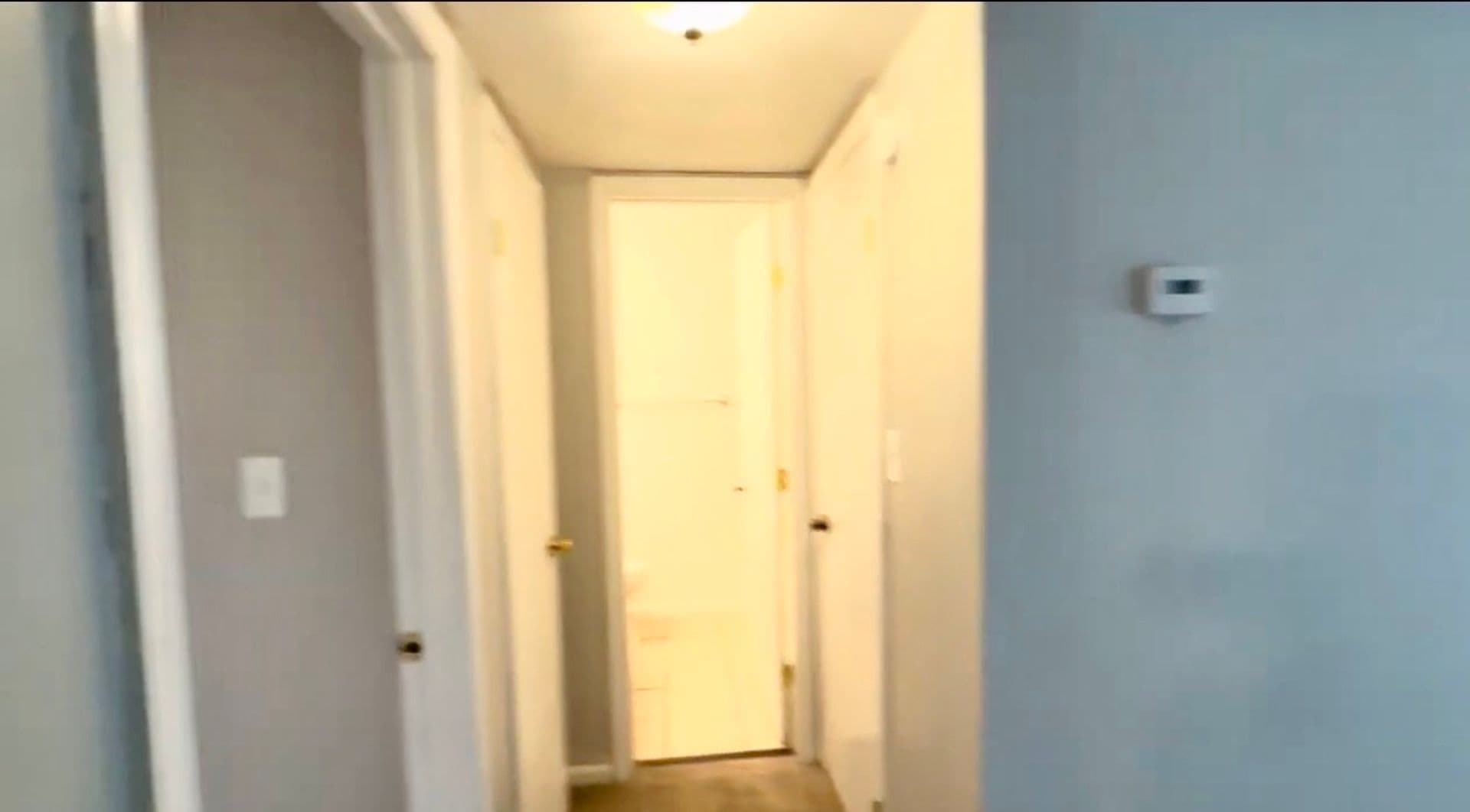 Norfolk Apartment: 5867 Poplar Hall Drive