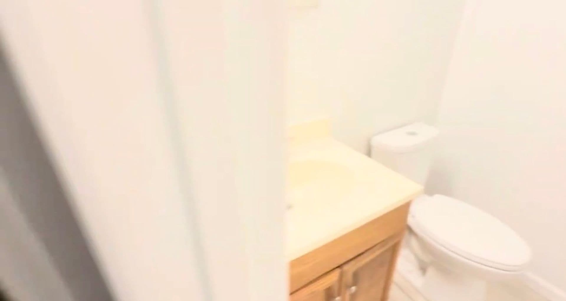 Norfolk Apartment: 5867 Poplar Hall Drive