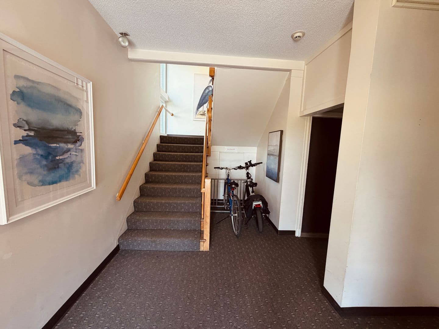 Burlington Apartment: 383 College Street