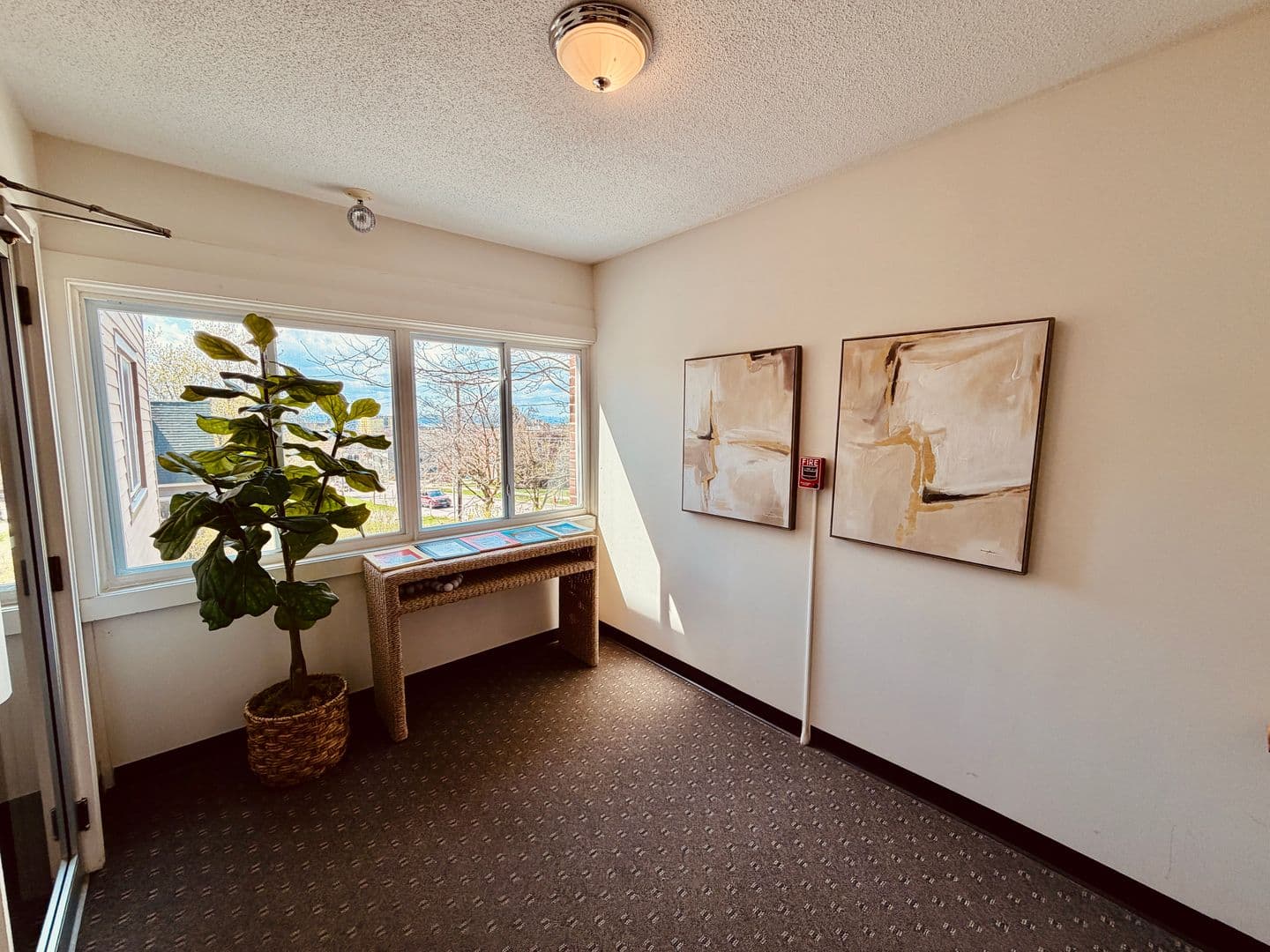 Burlington Apartment: 383 College Street
