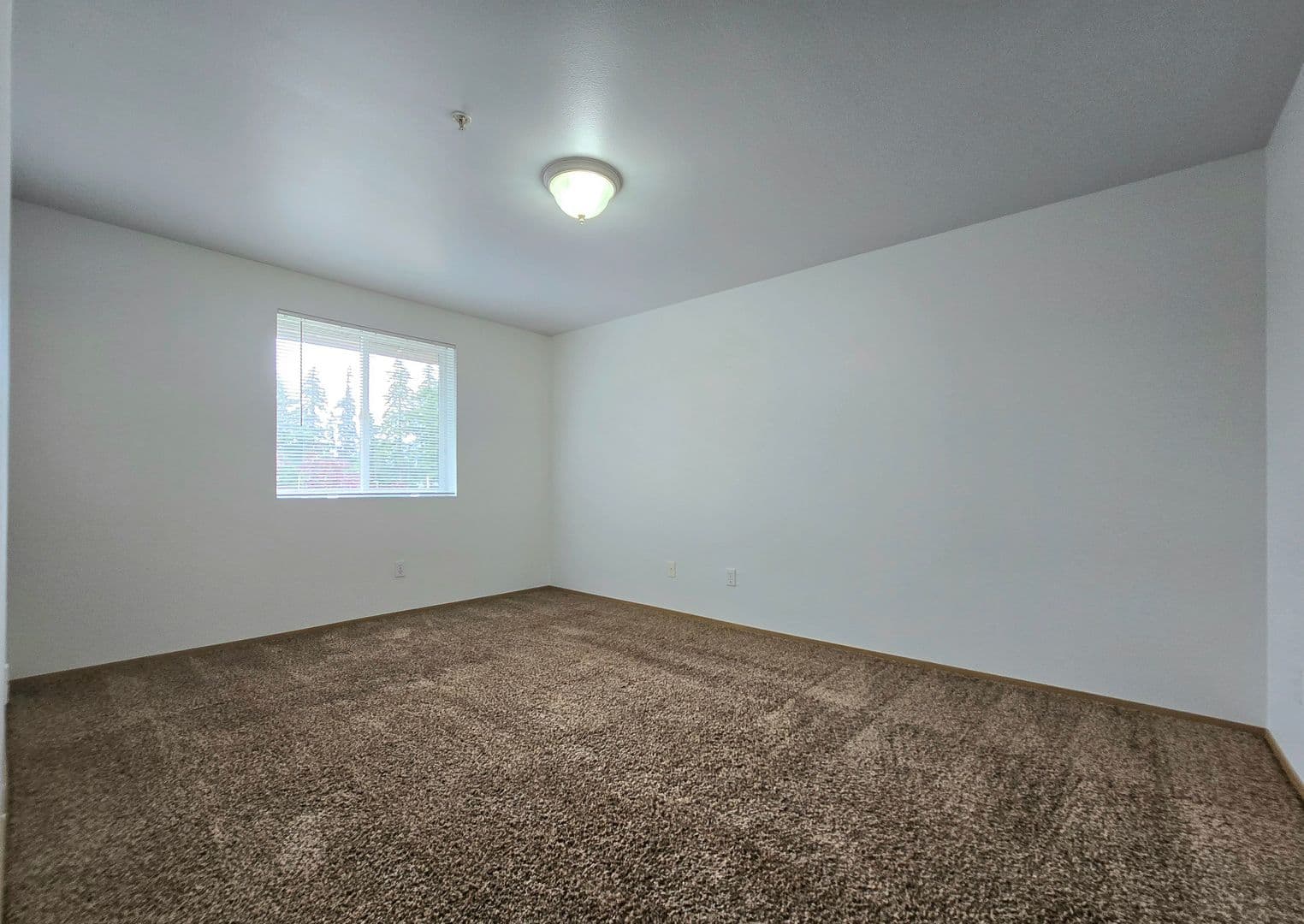Marysville Apartment: 11811 State Ave