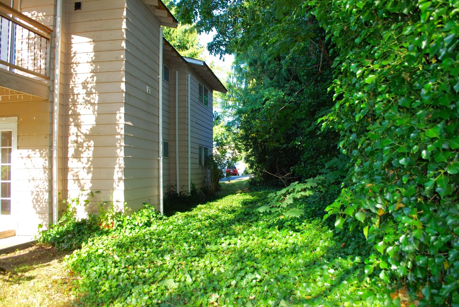Everett Apartment: 6130 W. Beech St
