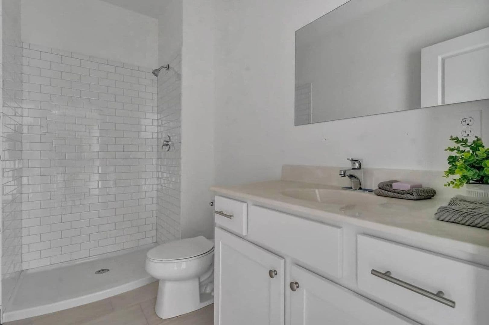 Springfield Apartment: 151 Chestnut St