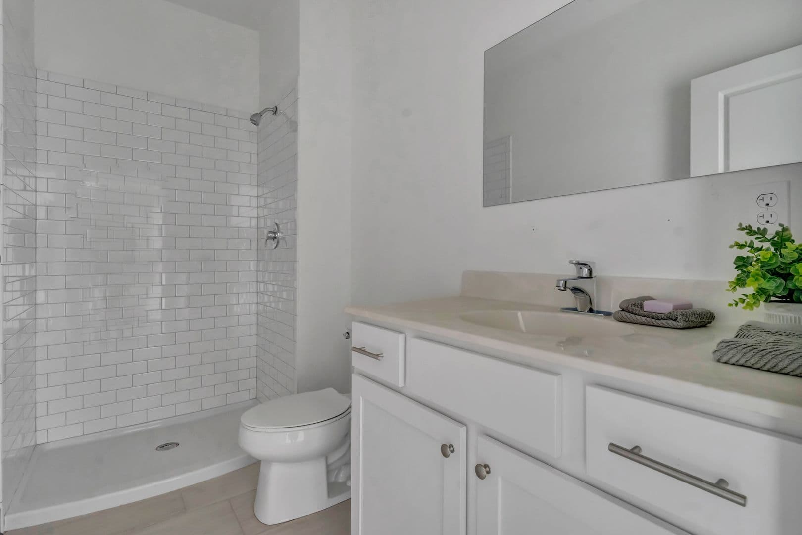 Springfield Apartment: 151 Chestnut St