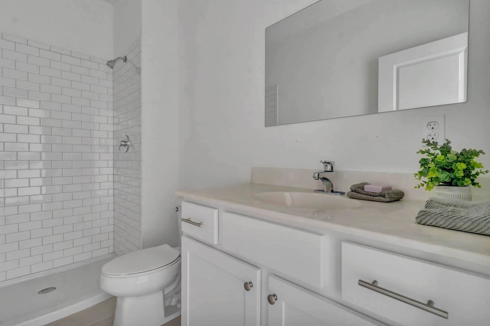 Springfield Apartment: 151 Chestnut St