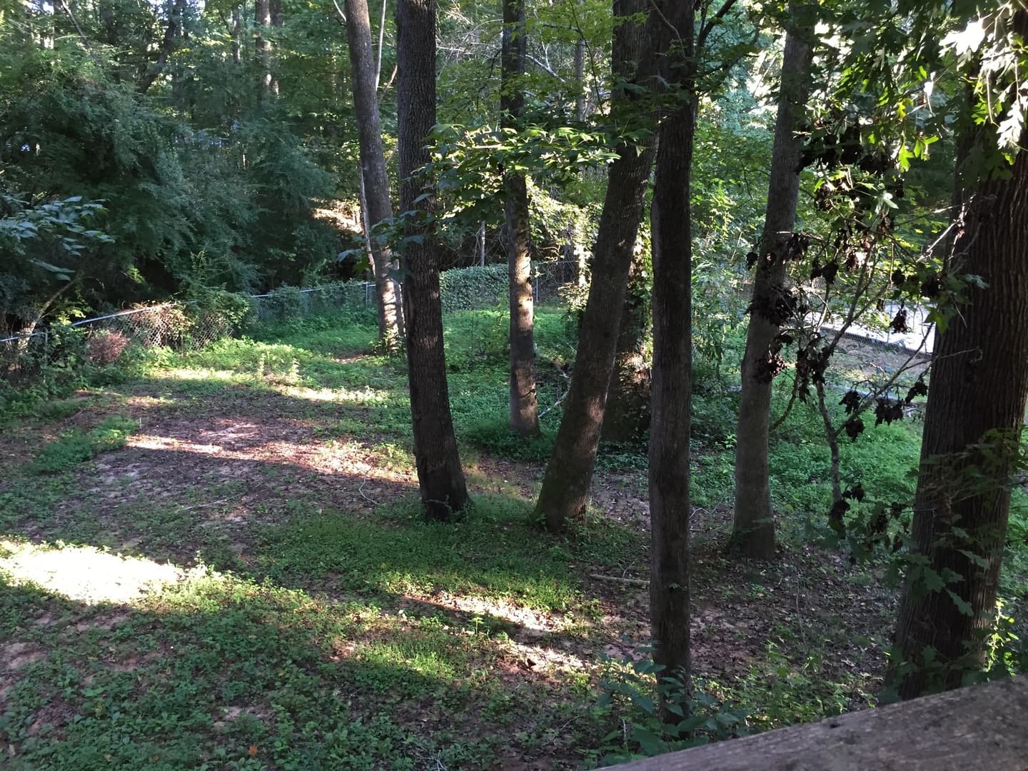Auburn House: 738 Tanglewood Ave