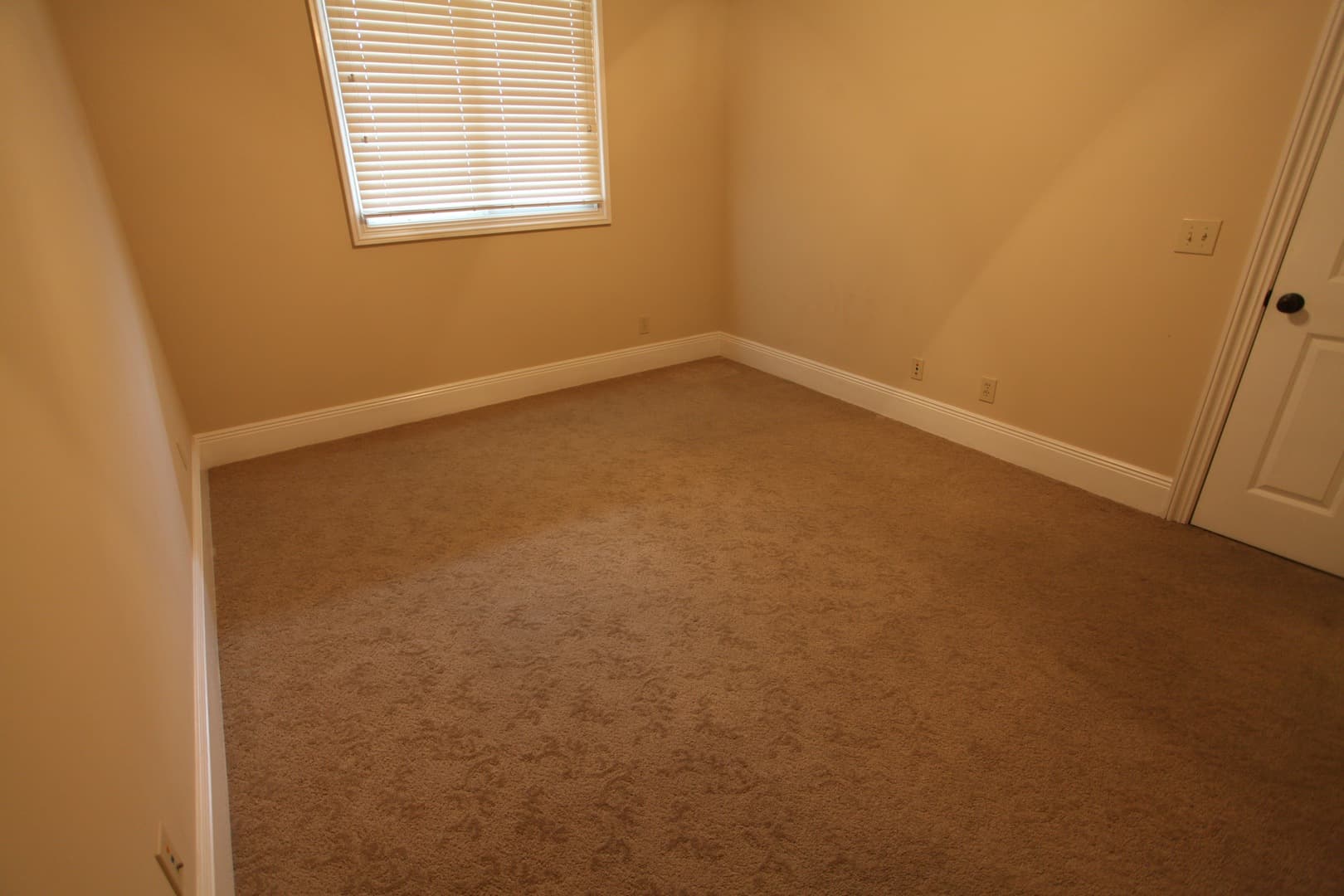 Auburn House: 234 W Magnolia Ave Unit 311