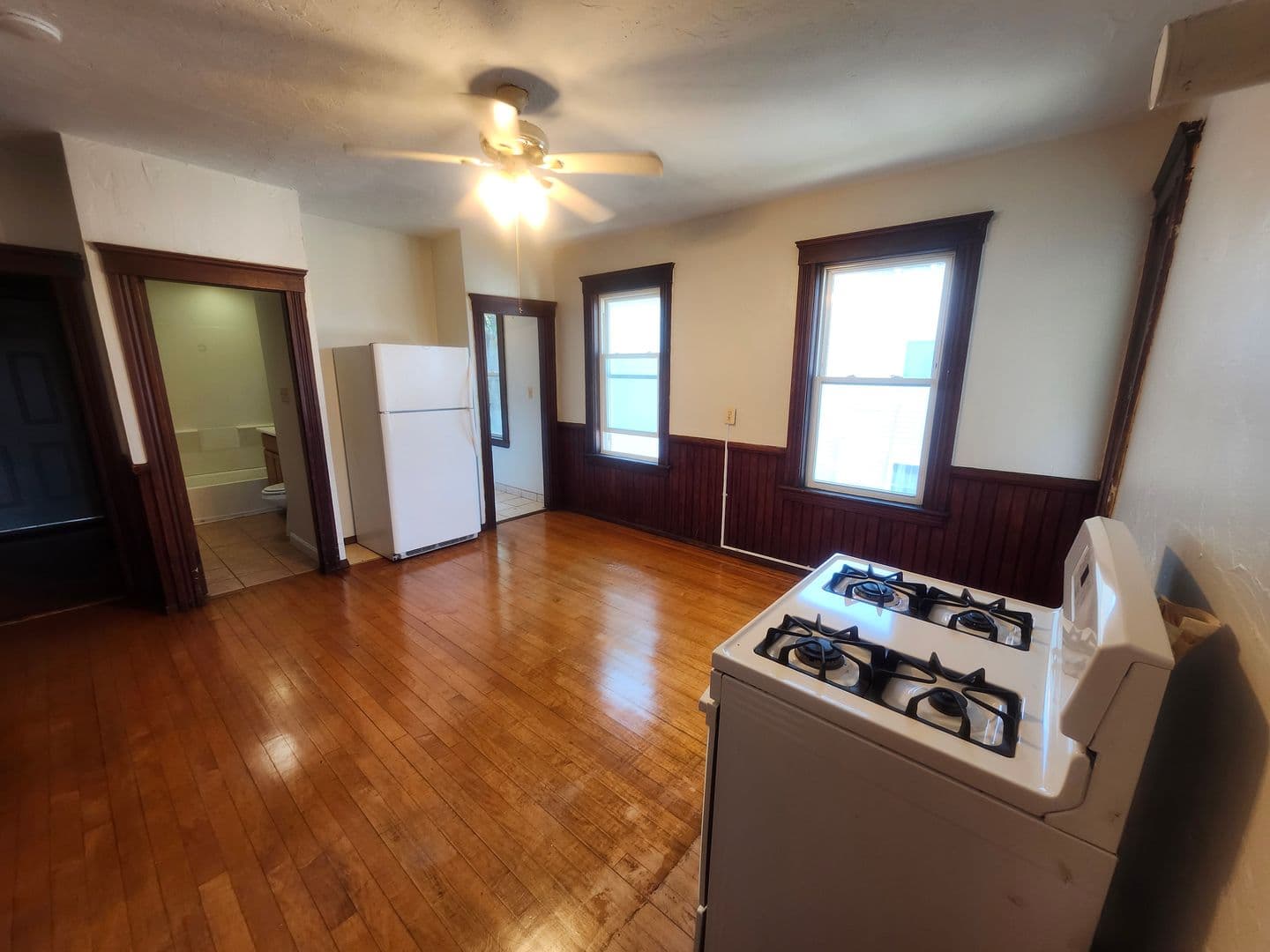 Worcester Apartment: 48 Everard St