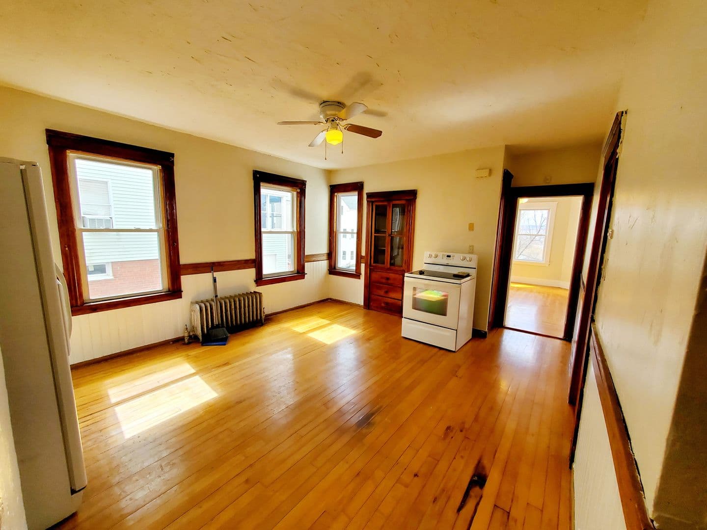 Worcester Apartment: 48 Everard St