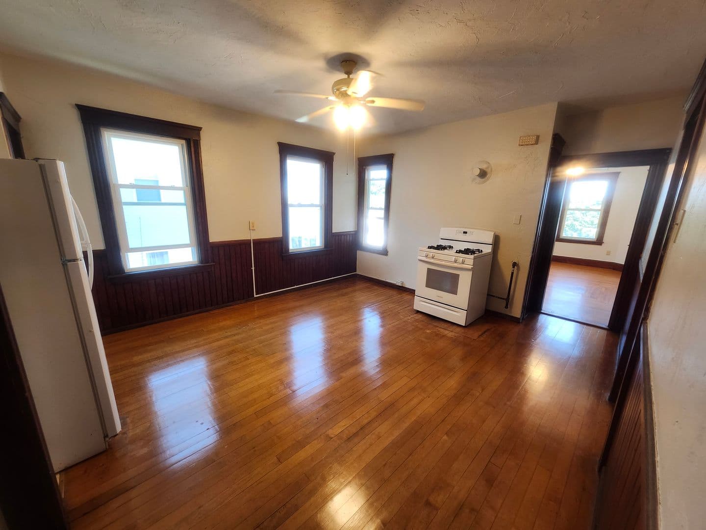 Worcester Apartment: 48 Everard St