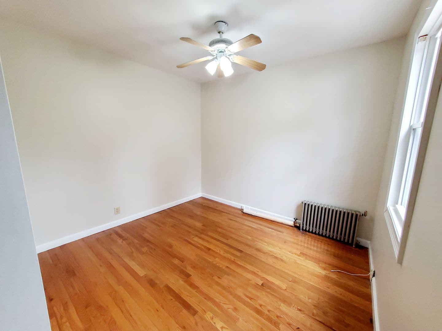 Worcester Apartment: 48 Everard St