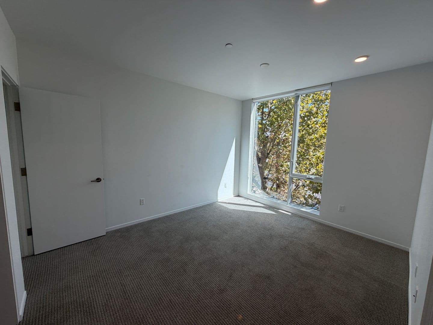 Sacramento Multiplex: 2419 Binnen Ln