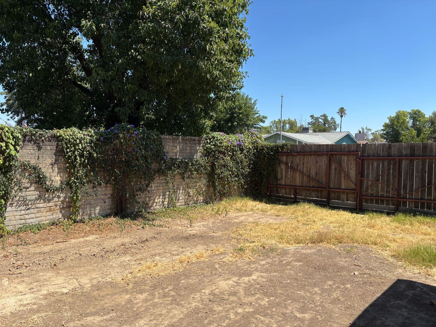 Sacramento Multiplex: 4997 & 4999 Curve Wood Way