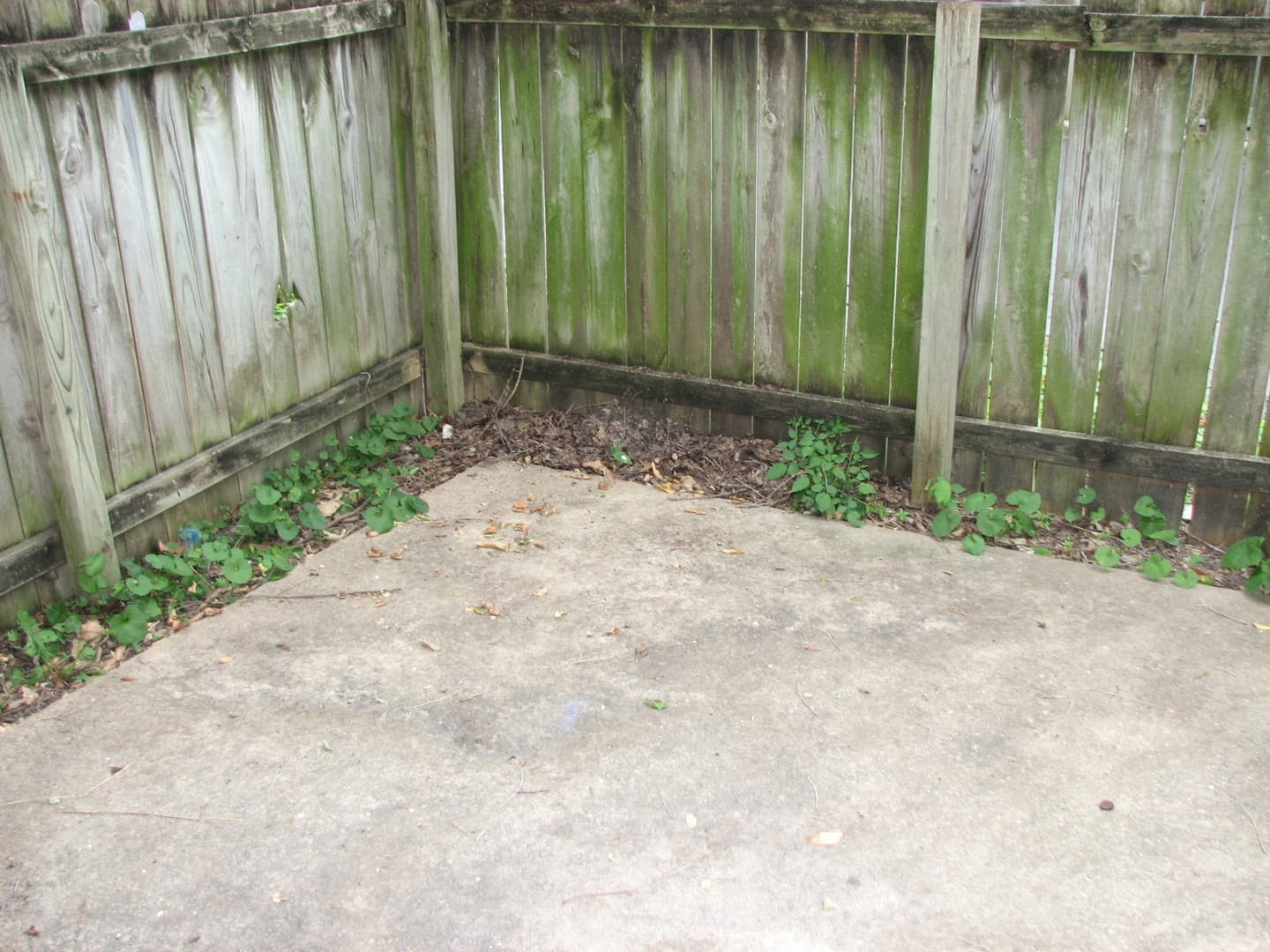 Columbia Apartment: 1616 Anthony St