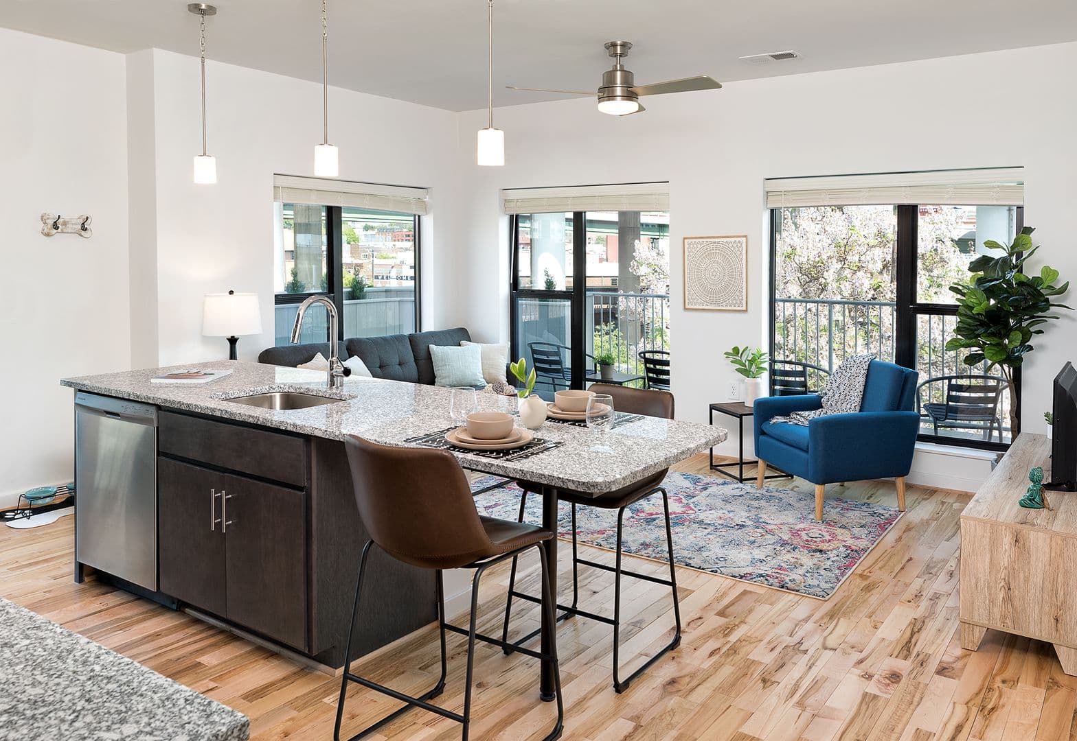 Richmond Apartment: 101 S 15th St