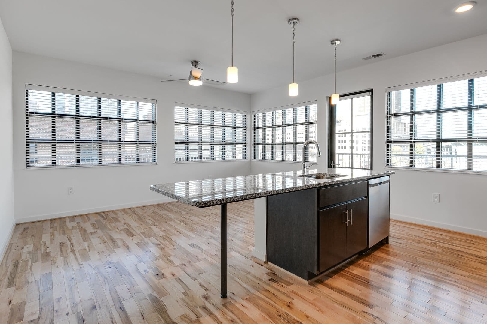 Richmond Apartment: 101 S 15th St