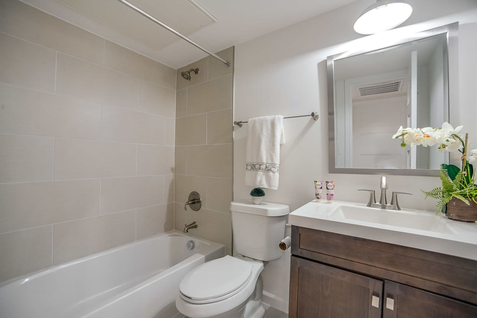 Dallas Apartment: 1809 Bennett Ave