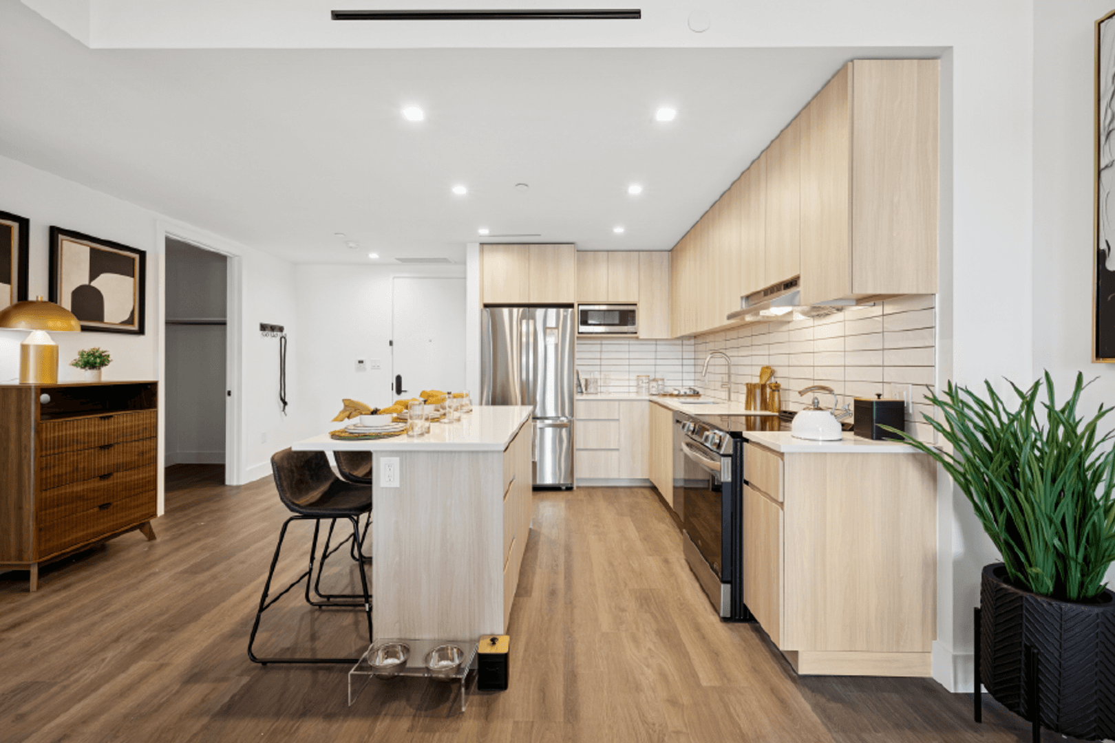 Brooklyn Apartment: 2339 Nostrand Ave