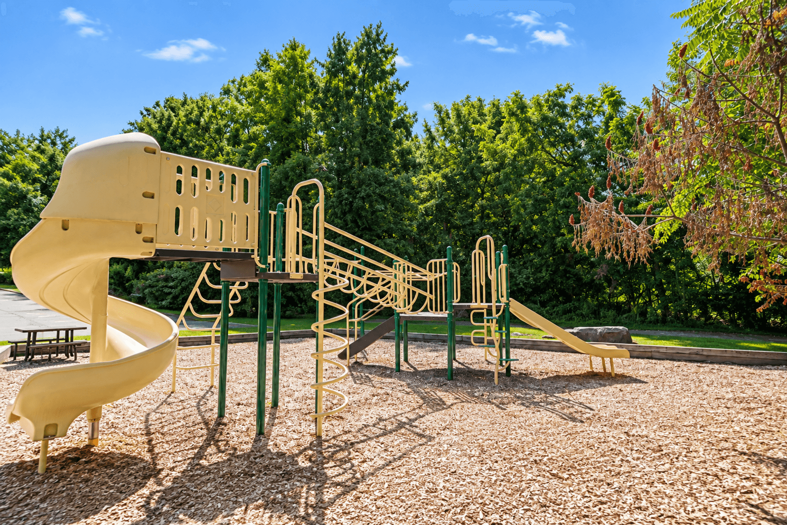 Middletown Apartment: 5 Town Colony Drive