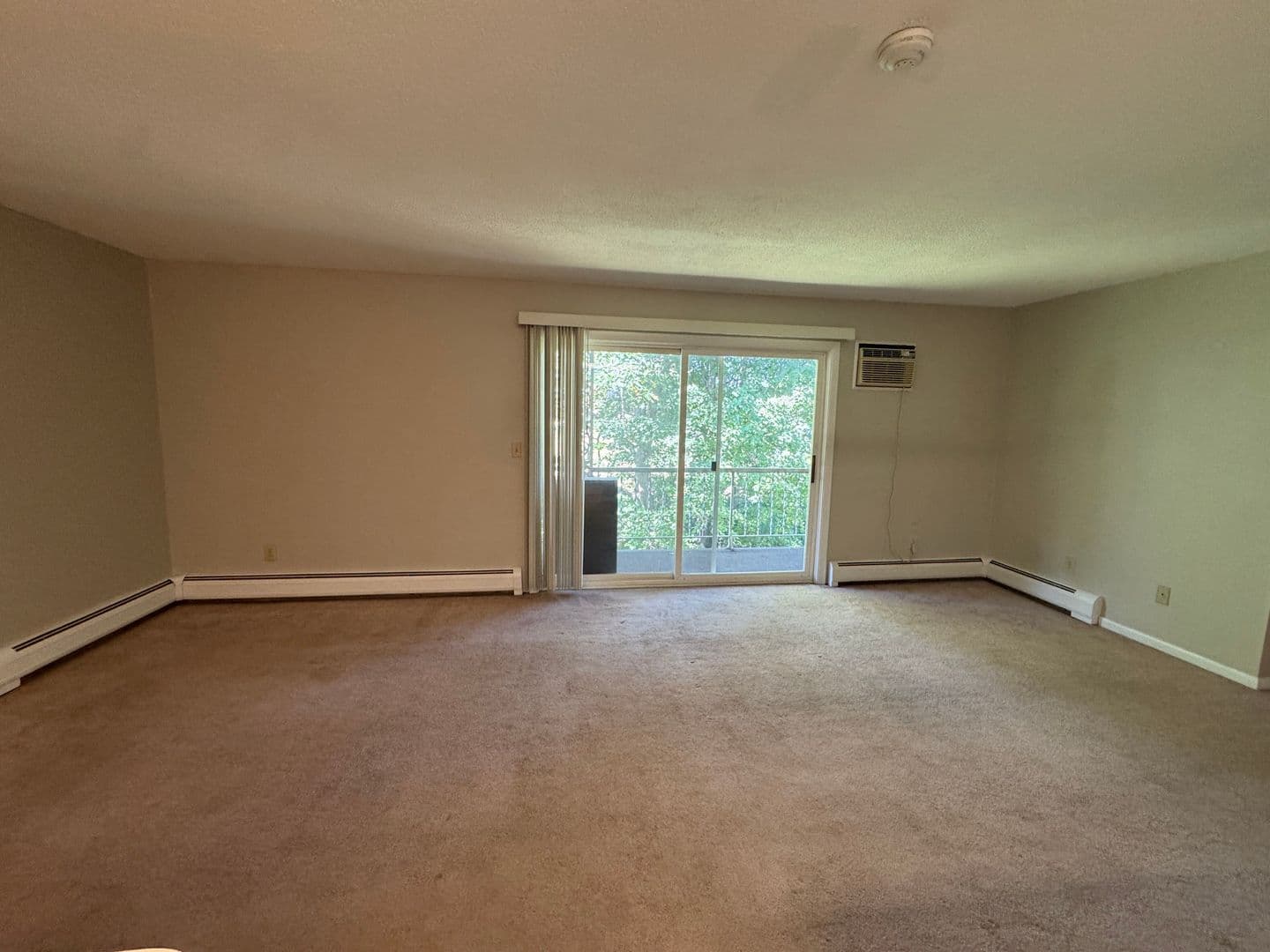 Springfield Apartment: 382-384 River St