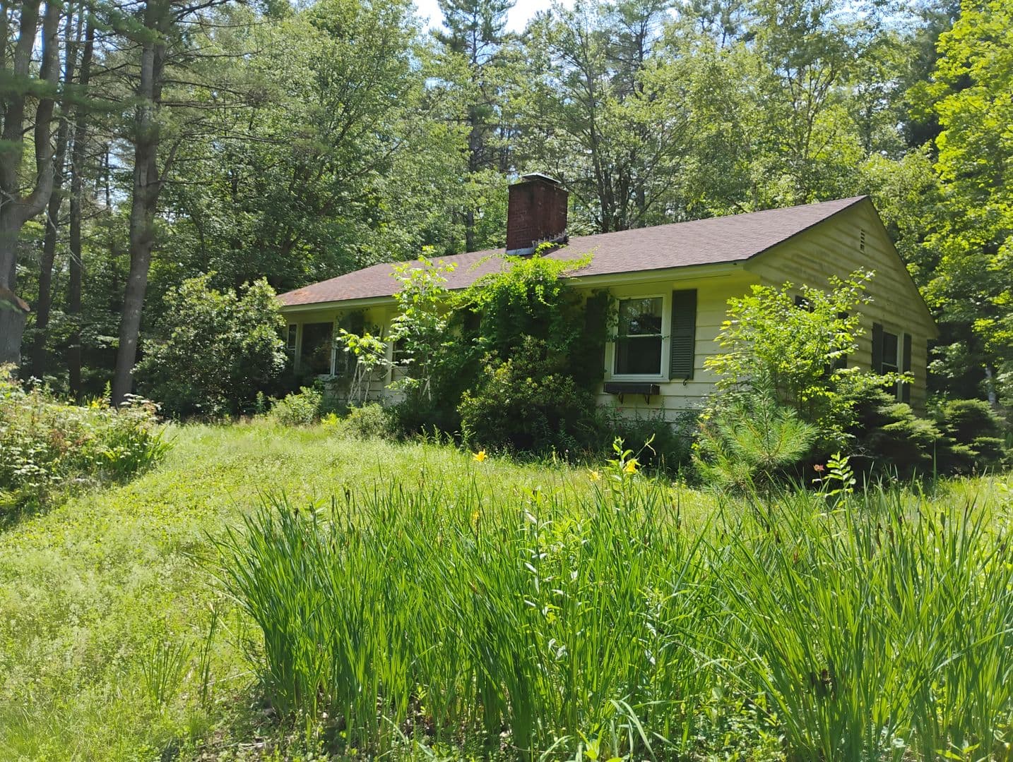 Thetford House: 200 Garey Rd