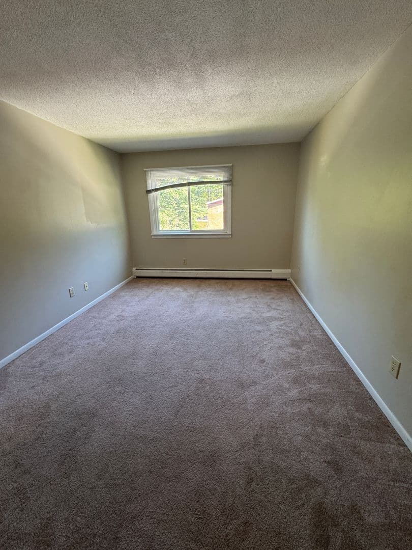 Springfield Apartment: 382-384 River St
