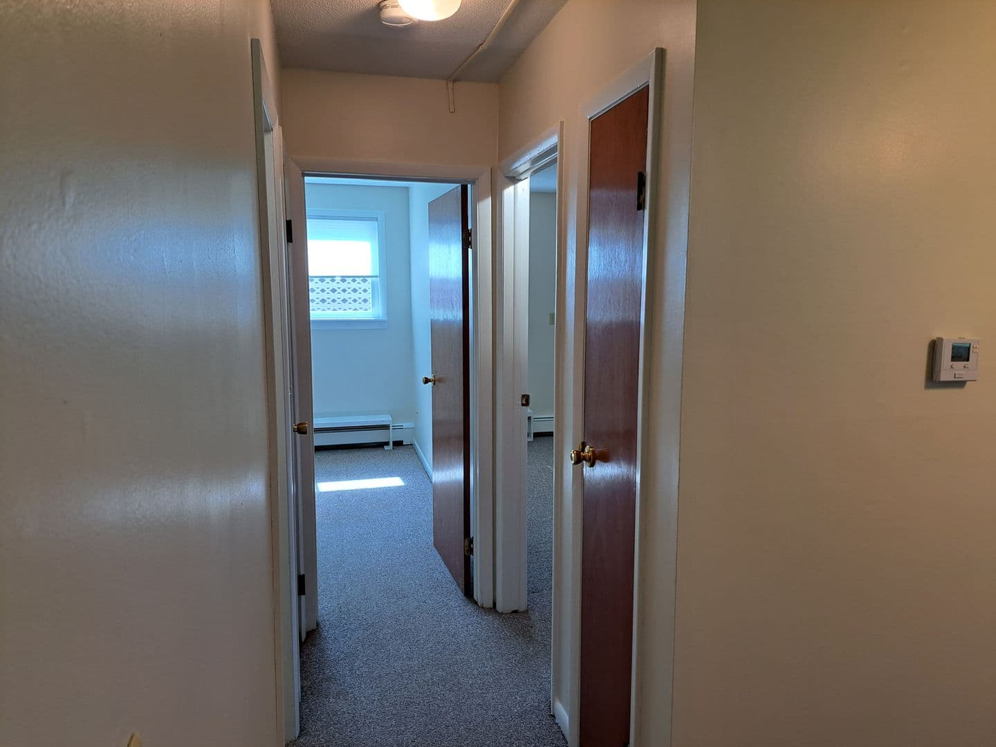 Springfield Apartment: 382-384 River St