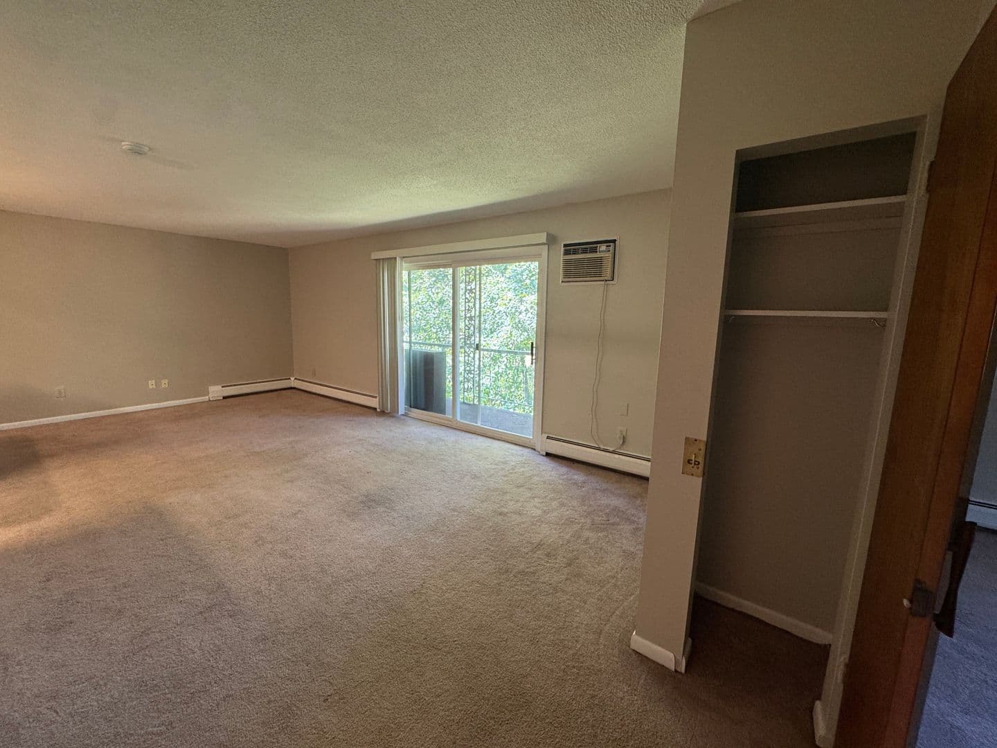 Springfield Apartment: 382-384 River St