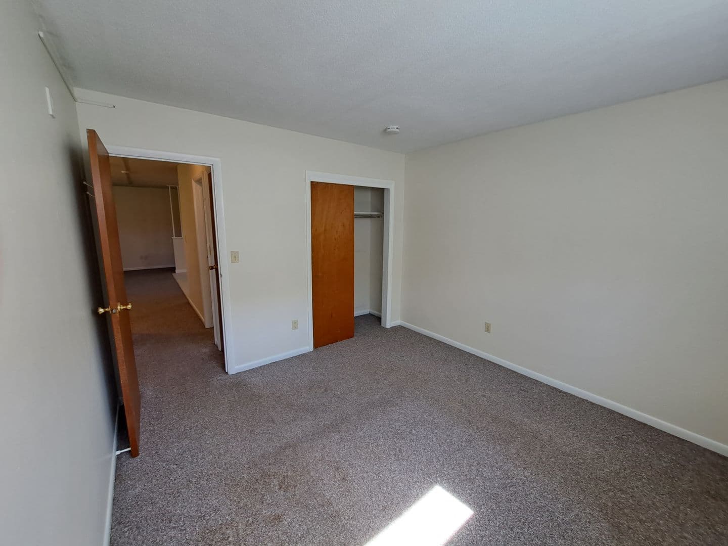 Springfield Apartment: 382-384 River St