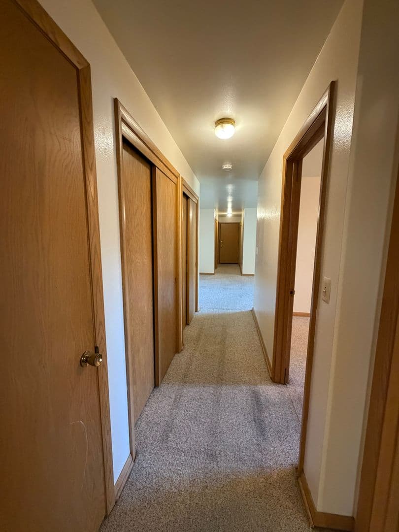 Appleton Apartment: 319 E Harris St