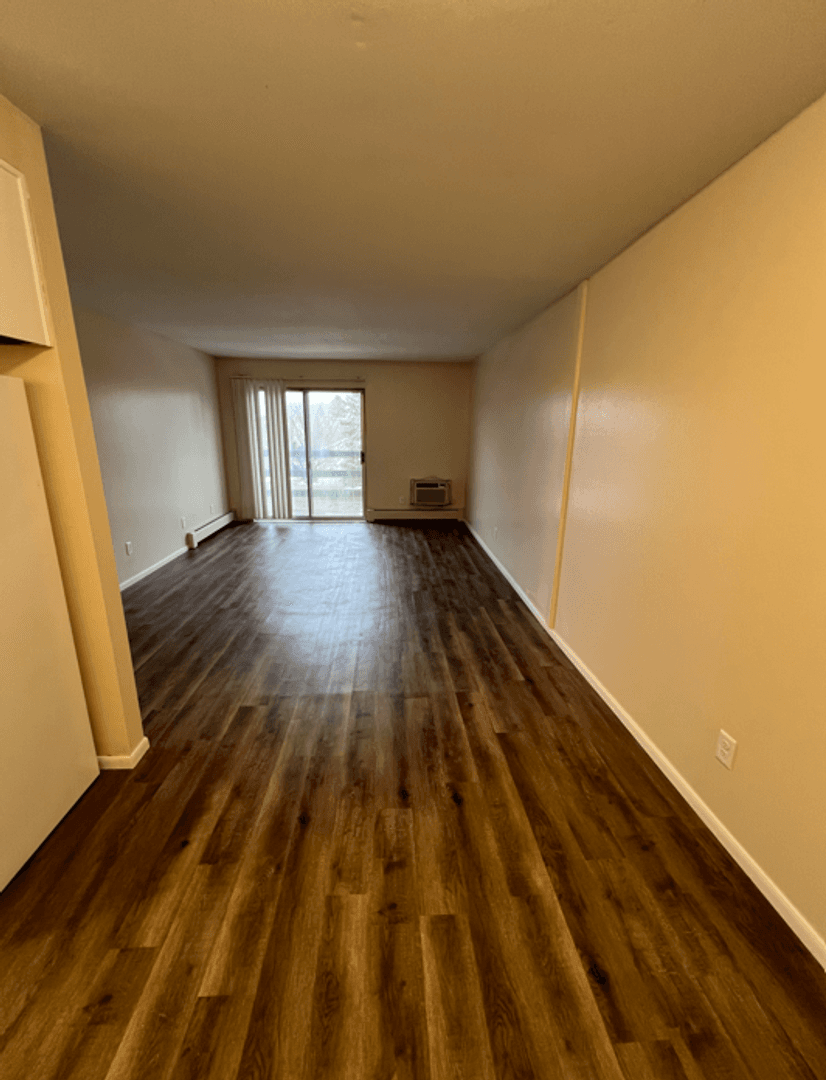 Appleton Apartment: 1005 S East St