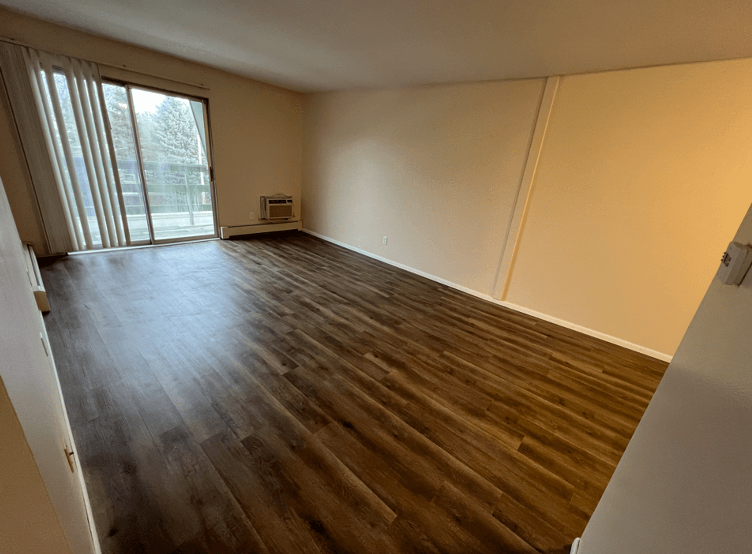 Appleton Apartment: 1005 S East St