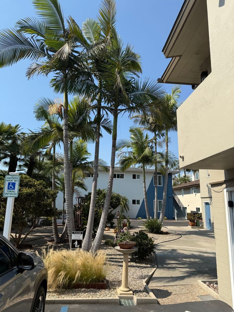 San Diego Apartment: 4052 1/2 Brant Street
