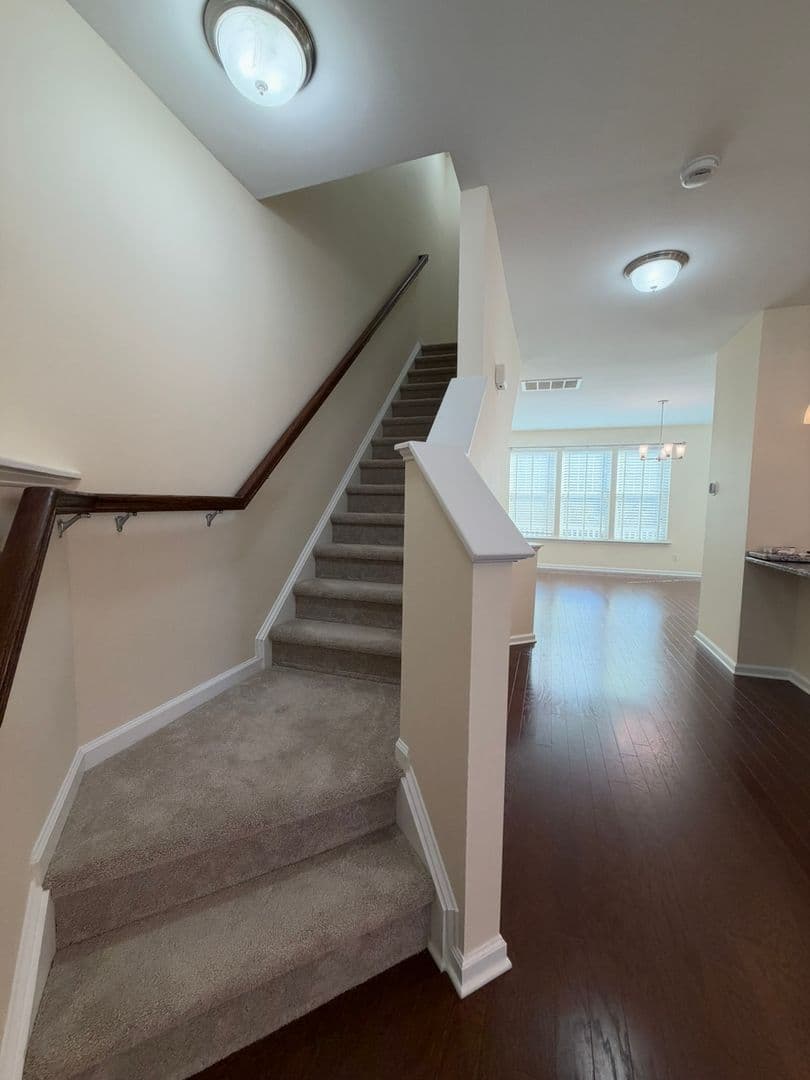 Williamsburg House: 4111 Prospect Street